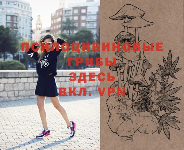 прущие крисы Вязники