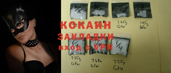 стафф Вяземский