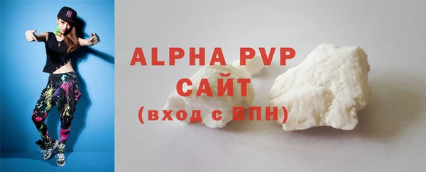 стафф Вяземский