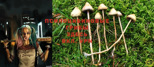 прущие крисы Вязники