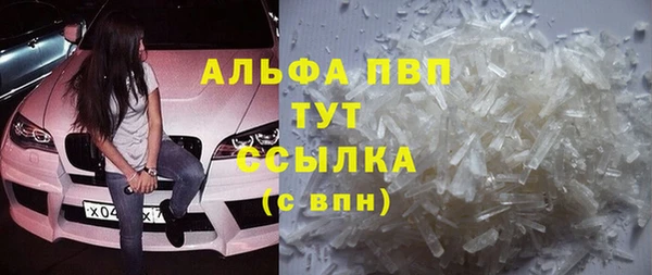 стафф Вяземский