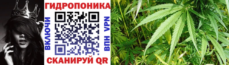 МАРИХУАНА план  Купить где  Любим 